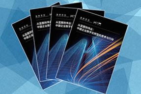 《从蓝图到伟业：中国企业数字化转型的思考与行动》